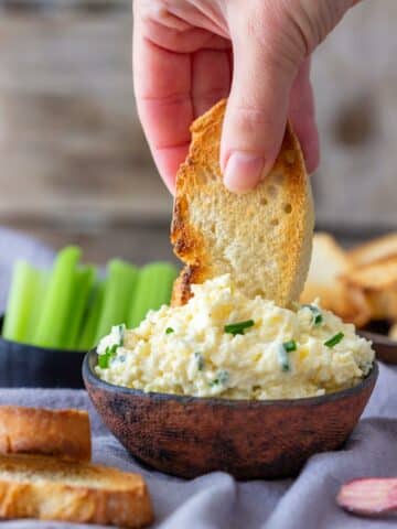 Garlic Cheddar Cheese Dip