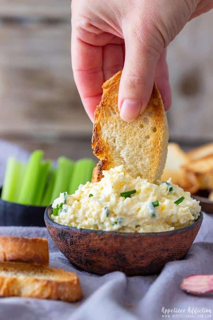 Garlic Cheddar Cheese Dip