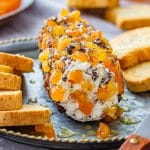 Apricot Goat Cheese Log Appetizer