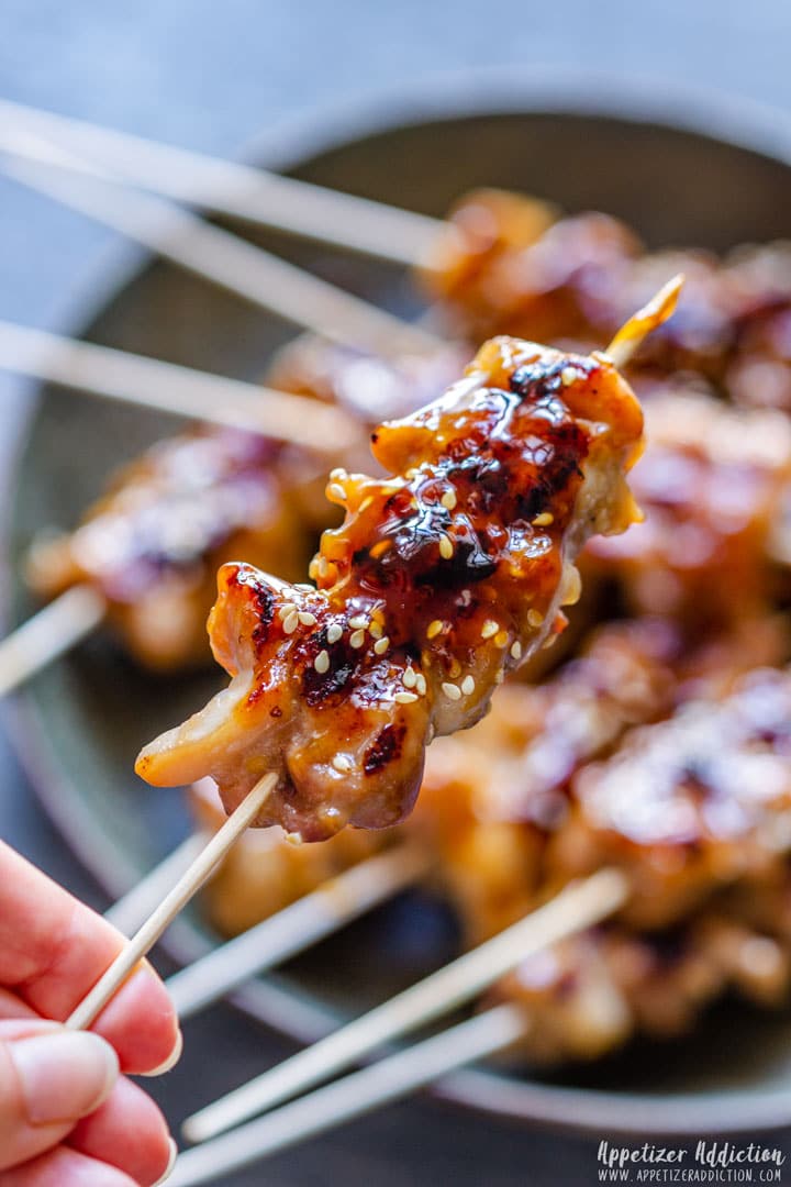 Perfectly Grilled Teriyaki Chicken Skewer