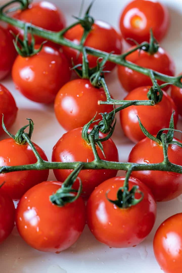 Cherry tomato branch