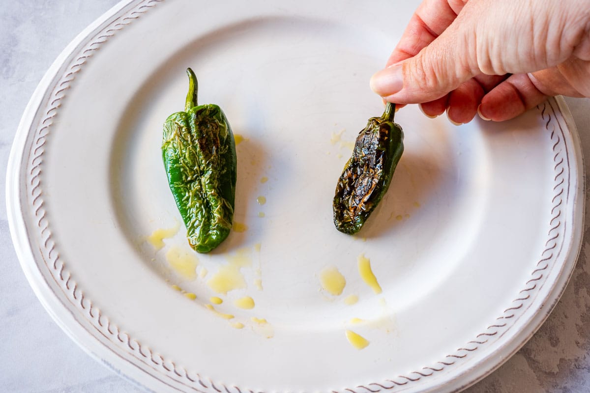 two Padrón peppers on a plate showing the difference between a blistered pepper and an overdone one.