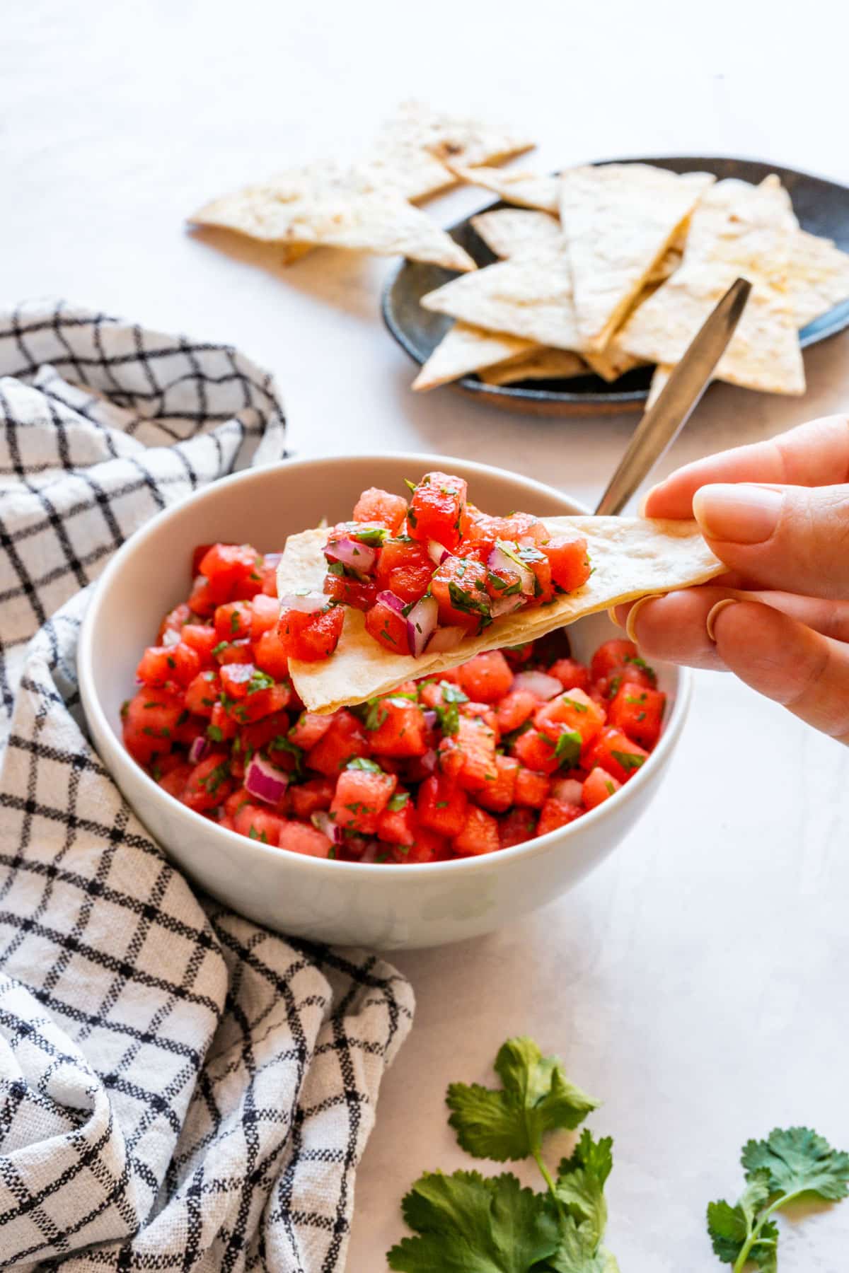 Hand holding a tortilla chip piled with watermelon salsa above the serving bowl.